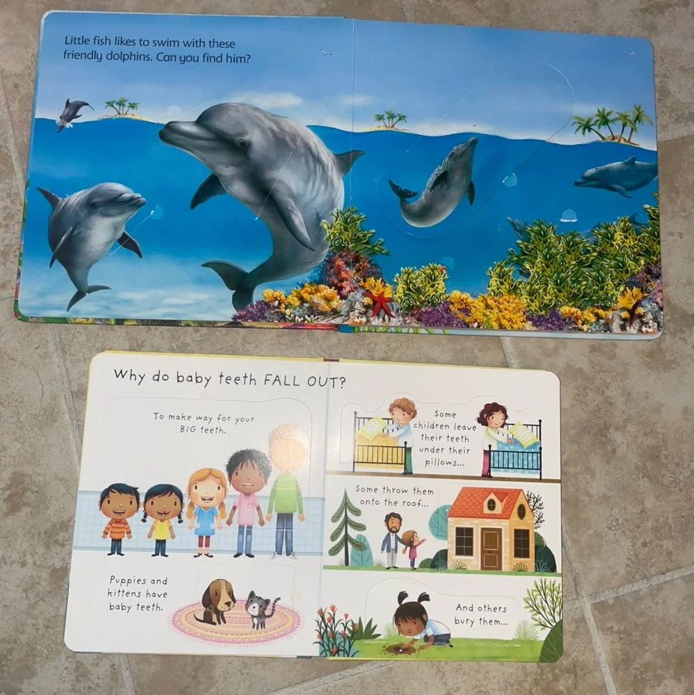 Usborne Lift-the-Flap Children's Books